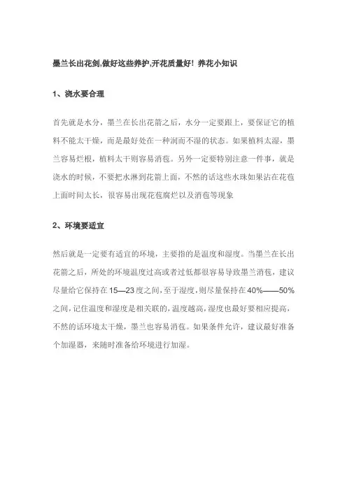 墨兰长出花剑,做好这些养护,开花质量好! 养花小知识