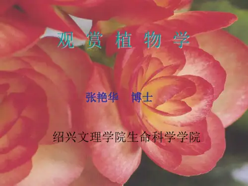 观赏植物学(第一讲