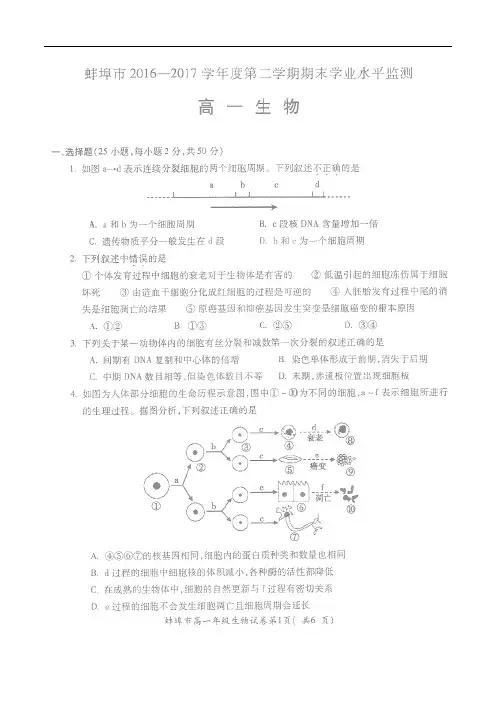 安徽省蚌埠市高一数学下学期期末考试试题(扫描版)