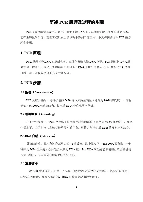 简述PCR原理及过程的步骤
