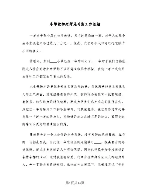 小学数学老师见习期工作总结（4篇）