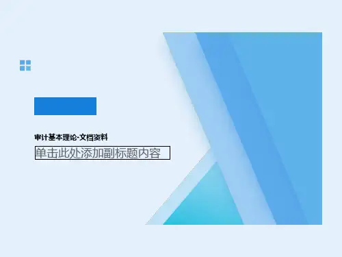 审计基本理论-文档资料