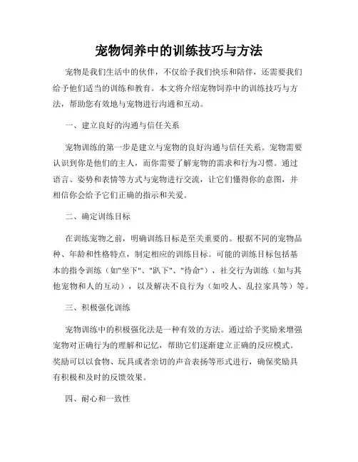 宠物饲养中的训练技巧与方法