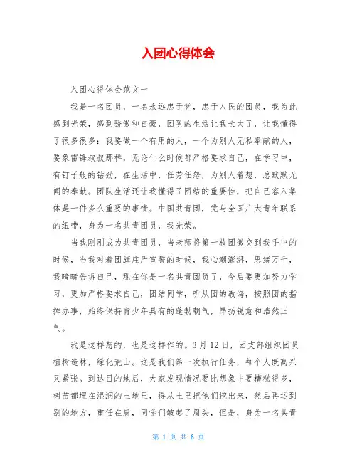 入团心得体会