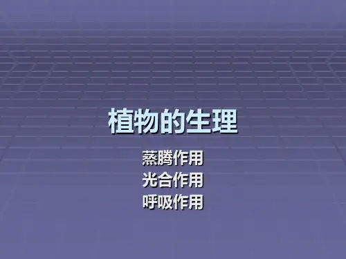 植物的三大作用分解