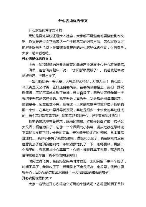 开心农场优秀作文