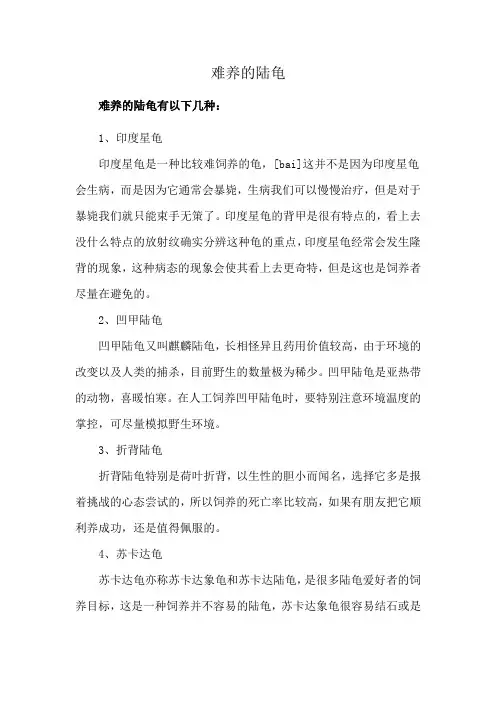 难养的陆龟