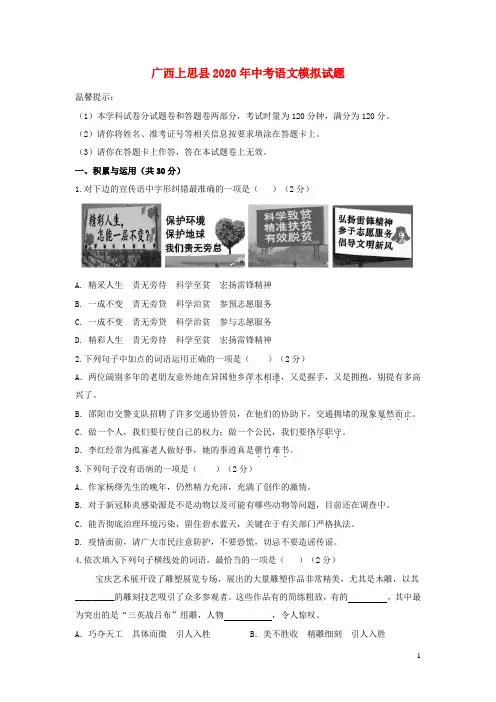 2020年中考语文模拟试题