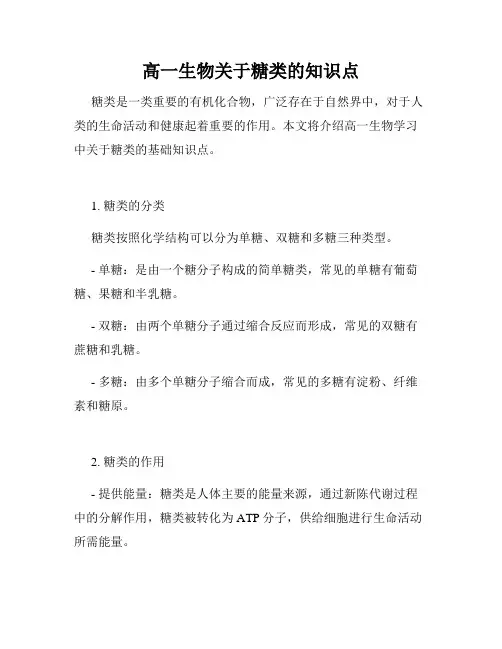 高一生物关于糖类的知识点