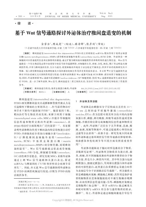 基于Wnt信号通路探讨外泌体治疗椎间盘退变的机制
