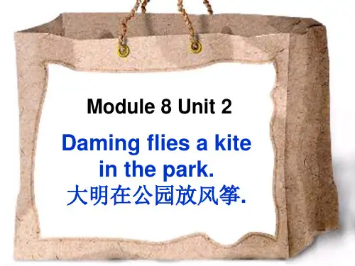 外研版(三起)小学英语三年级下册Module 8《Unit 2 Daming flies a kit