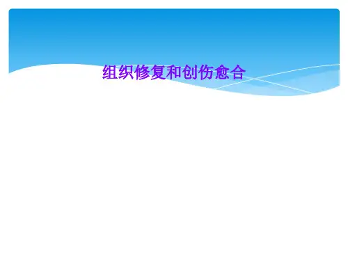 组织修复和创伤愈合