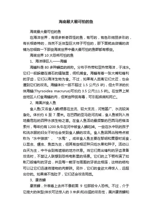 海底最大最可怕的鱼