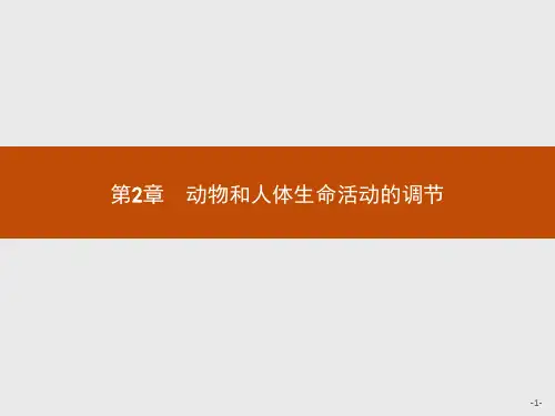 生物必修Ⅲ人教新课标2-1通过神经系统的调节课件(18张)