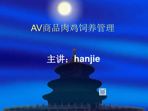 AV商品肉鸡饲养管理