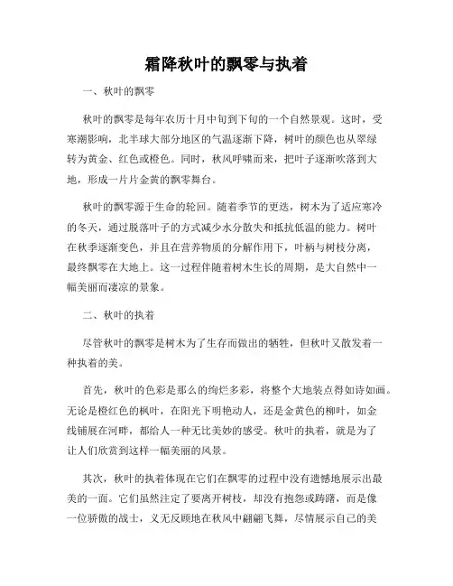 霜降秋叶的飘零与执着