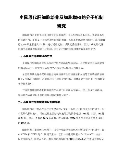 小鼠原代肝细胞培养及细胞增殖的分子机制研究