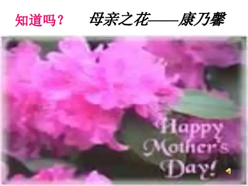 八年级语文献给母亲的歌(PPT)4-2