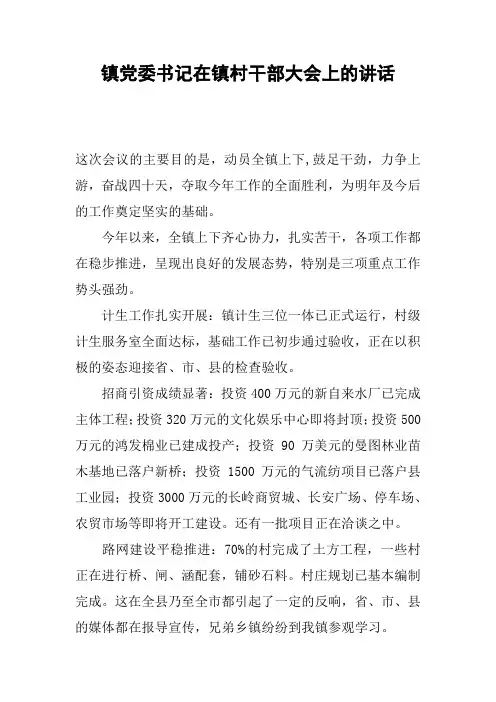 镇党委书记在镇村干部大会上的讲话