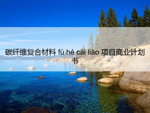 碳纤维复合材料项目商业计划书