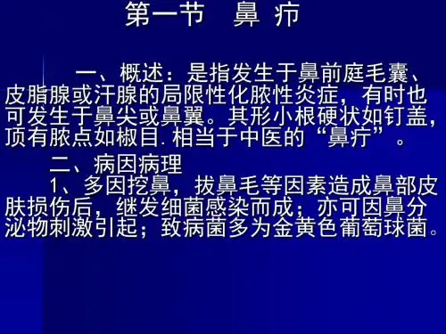 鼻疖 PPT课件