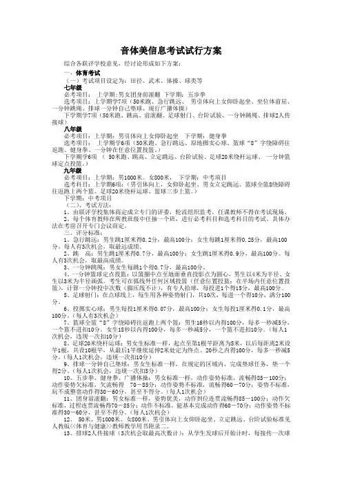 音体美信息考试方案