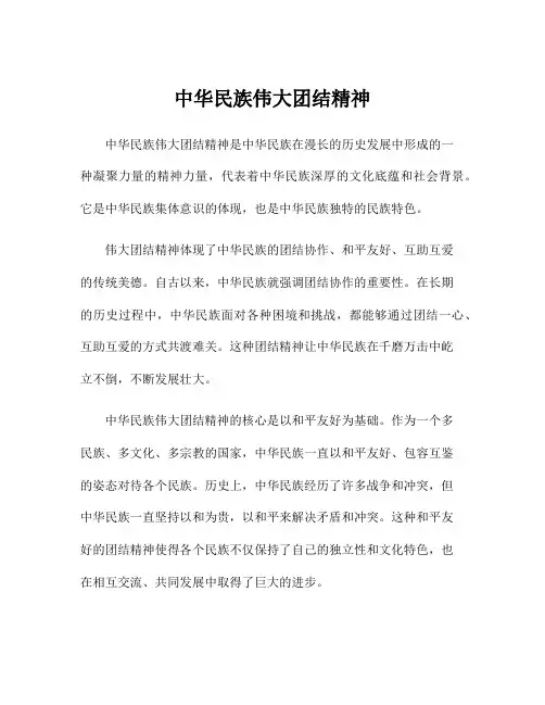 中华民族伟大团结精神