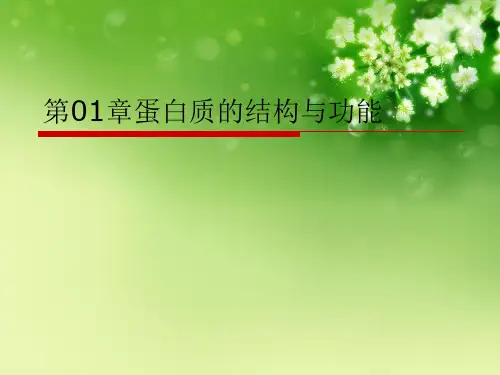 第01章蛋白质的结构与功能优秀课件