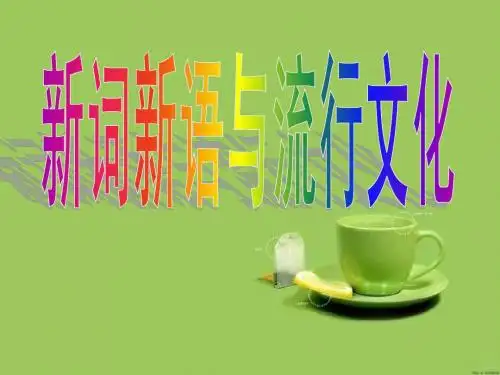 新词新语与流行文化(呵壁悲欢)