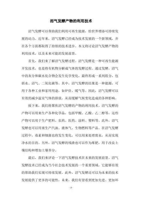 沼气发酵产物的利用技术