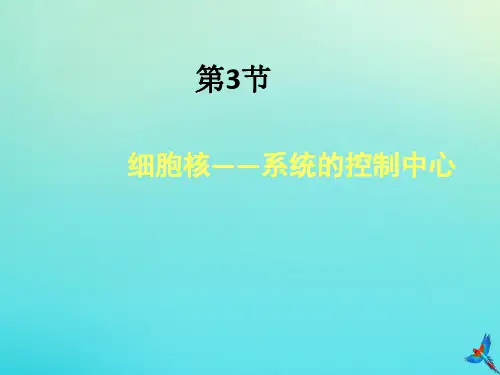 2019-2020学年高中生物第3章第3节细胞核-系统的控制中心课件新人教版必修1