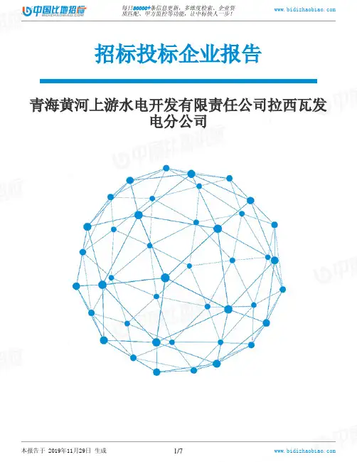 青海黄河上游水电开发有限责任公司拉西瓦发电分公司-招投标数据分析报告