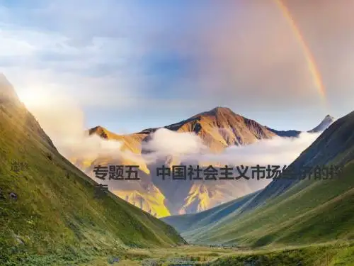 2019高考政治大一轮复习(全国通用)课件：选修2 专题五