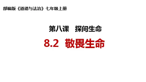 8.2 敬畏生命 课件(21张PPT)-2023-2024学年统编版道德与法治七年级上册