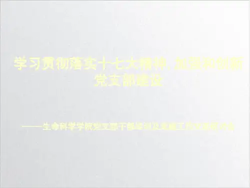 基层党组织建设PPT实用课件