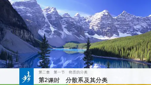 高中化学第二章化学物质及其变化2.1物质的分类第2课时课件新人教版必修1