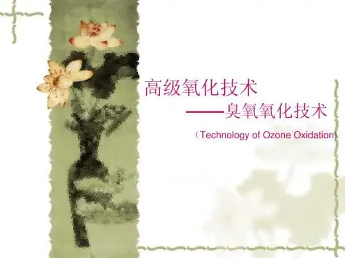 臭氧技术