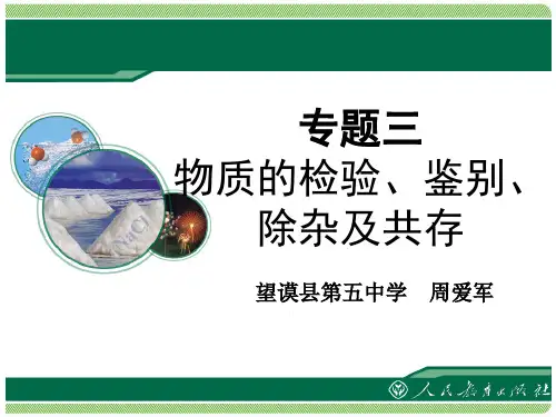 九年级人教版化学复习课件   专题三 物质的检验、鉴别、除杂及共存