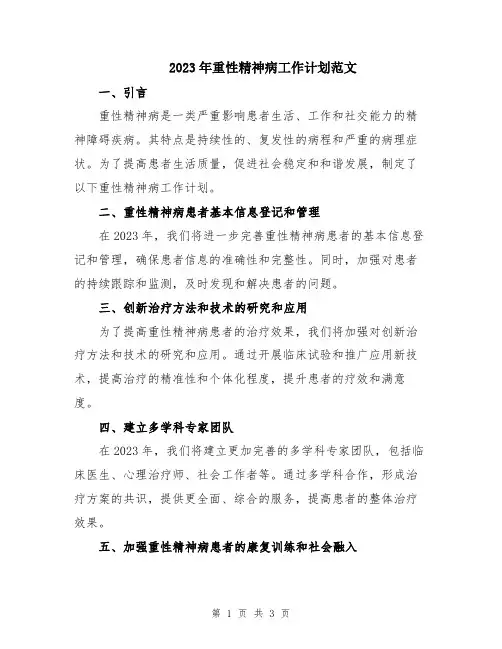 2023年重性精神病工作计划范文