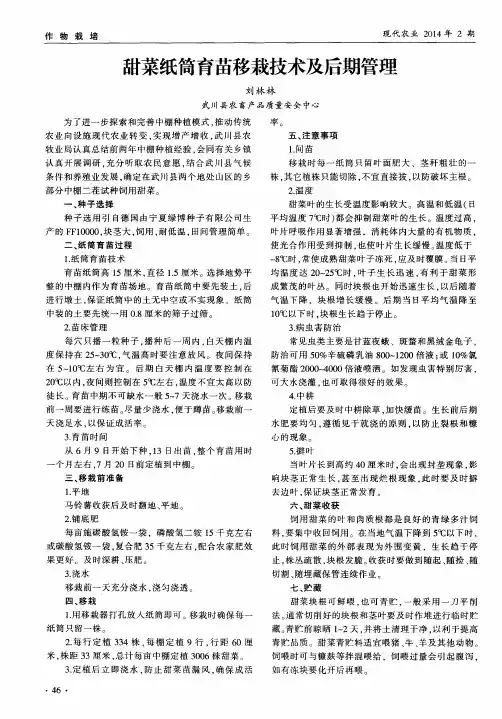 甜菜纸筒育苗移栽技术及后期管理