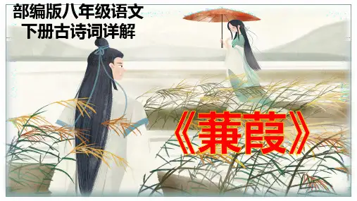 PPT《蒹葭 》部编版八年级语文下册古诗词详解(《诗经》,朦胧清新神秘,赋中见兴)