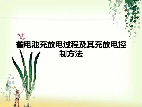 蓄电池充放电过程及其放电控制方法