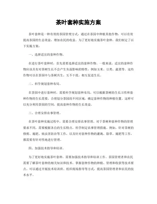 茶叶套种实施方案