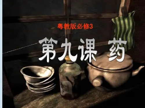 药ppt127 粤教版