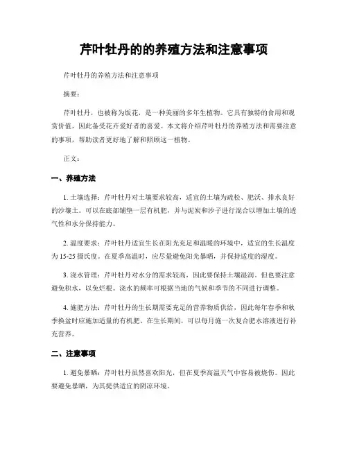 芹叶牡丹的的养殖方法和注意事项