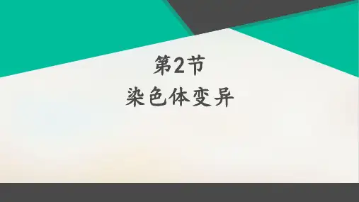 新教材《染色体变异》PPT完整版人教版