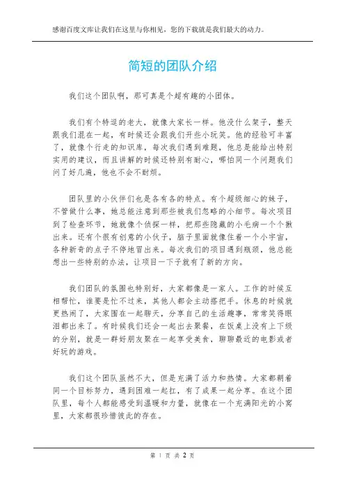 简短的团队介绍
