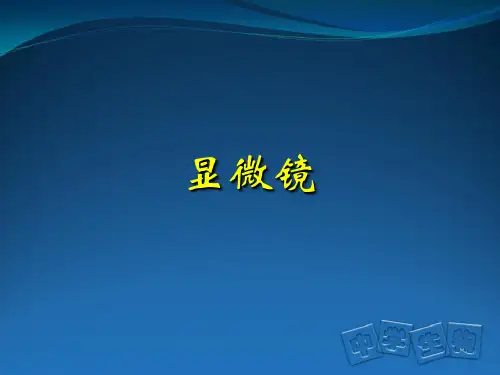 显微镜及临时装片的制作 初一生物