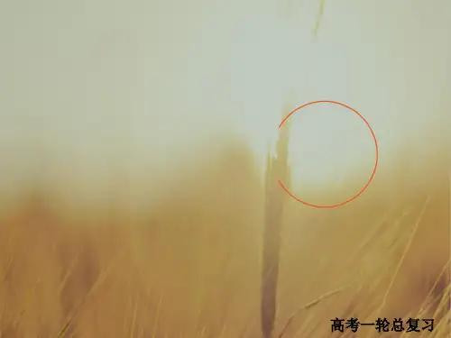 2018版高考一轮总复习物理课件 第6章 动量守恒定律及其应用 精品