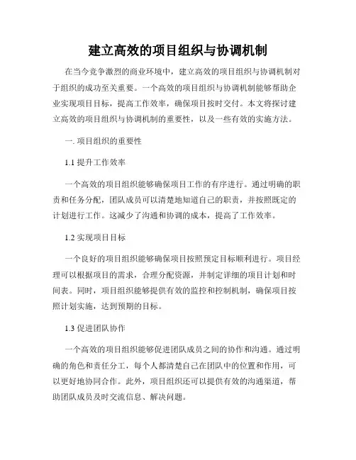 建立高效的项目组织与协调机制